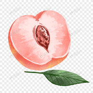 WWW,821se·COM网站APPAPP应用